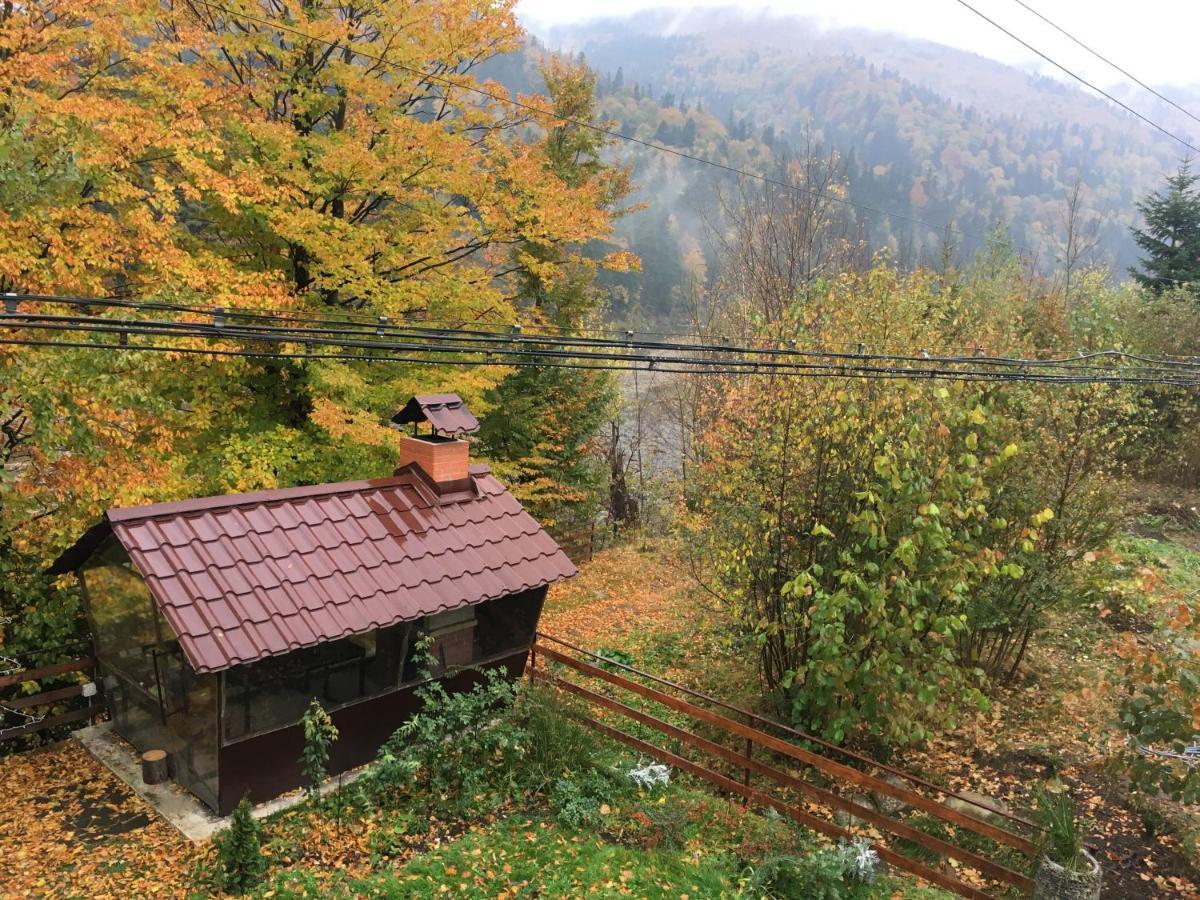 Mini-Hotel Serpanok Mykulychyn Esterno foto